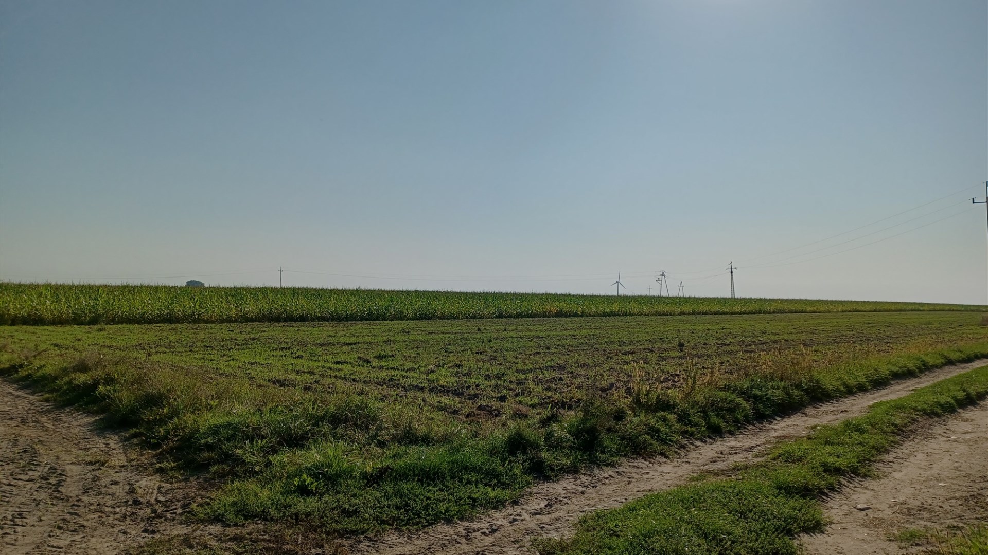 Grunty rolne 20 km od Zduńskiej Woli