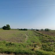 Grunty rolne 20 km od Zduńskiej Woli