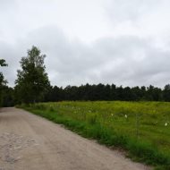 Licytacja - udział w gruncie w Dąbrównie