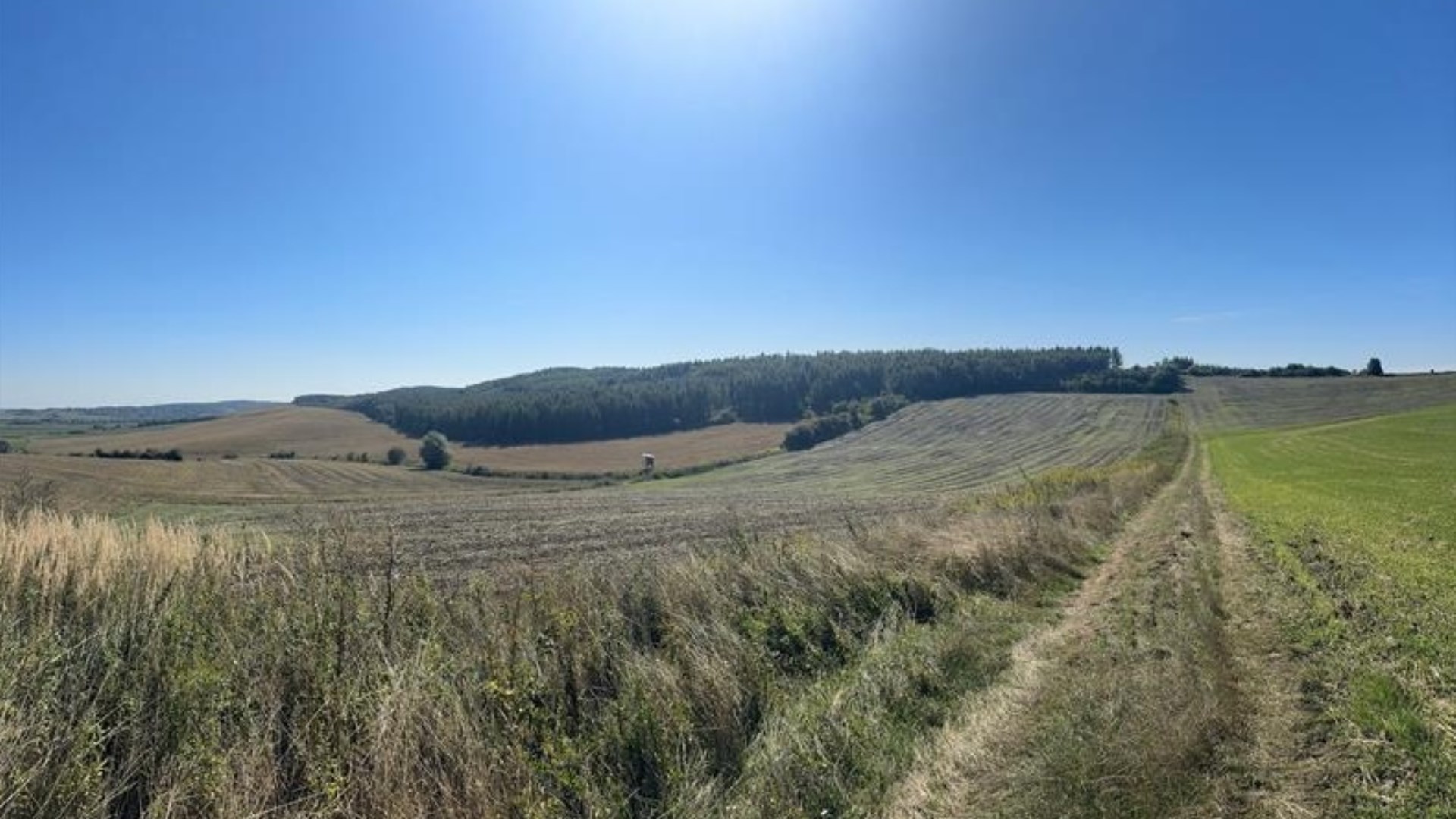 Grunty leśne z drzewostanem
