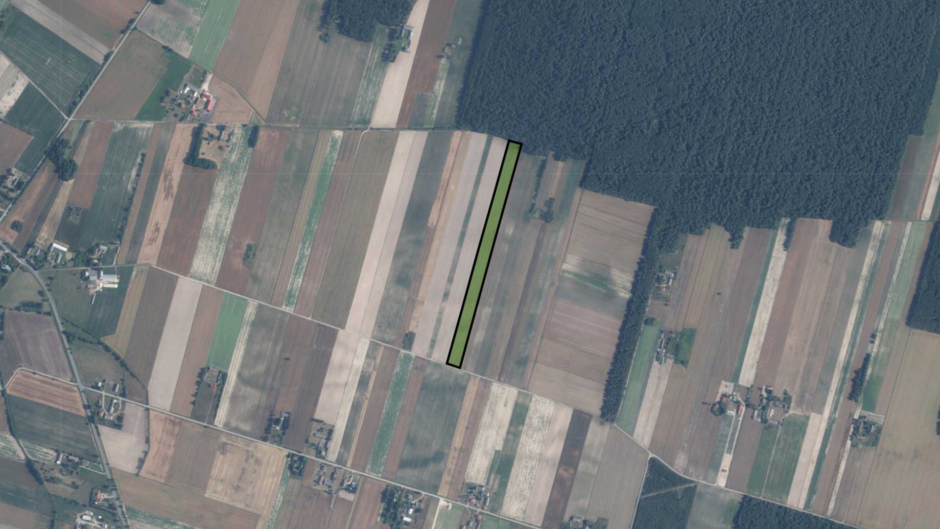 LICYTACJA! Nieruchomość rolna w Ratajewiczach