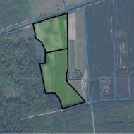 Sady na sprzedaż w licytacji!