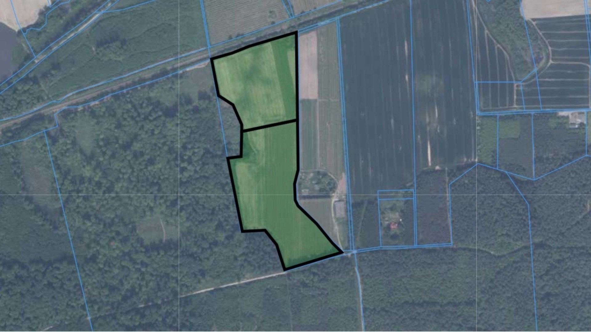 Sady na sprzedaż w licytacji!