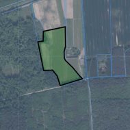 Sady na sprzedaż w licytacji!