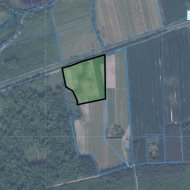 Sady na sprzedaż w licytacji!