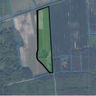 Gospodarstwo sadownicze 