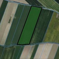 LICYTACJA- GRUNT ROLNY