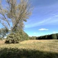 Grunt rolny na sprzedaż