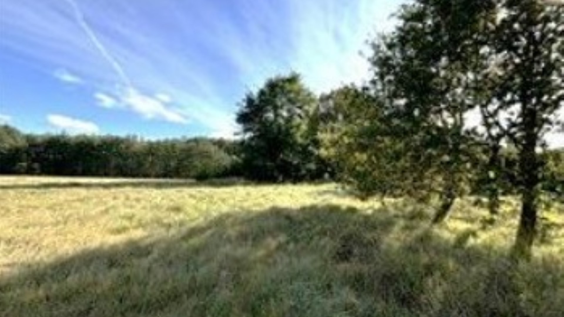 Grunt rolny na sprzedaż