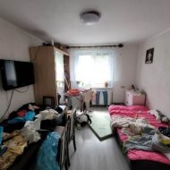 Mieszkanie- licytacja