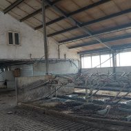 Grunt i budynek inwentarski