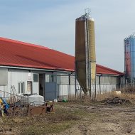 Grunt i budynek inwentarski