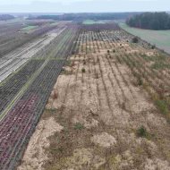 Grunty zabudowane- licytacja