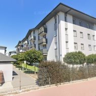 Udział w mieszkaniu- licytacja