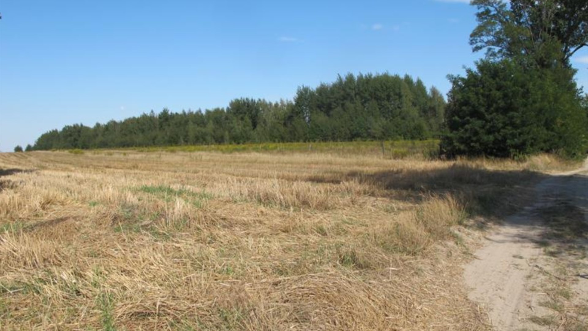 Działka na sprzedaż