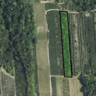 Grunt rolny- sad wiśniowy