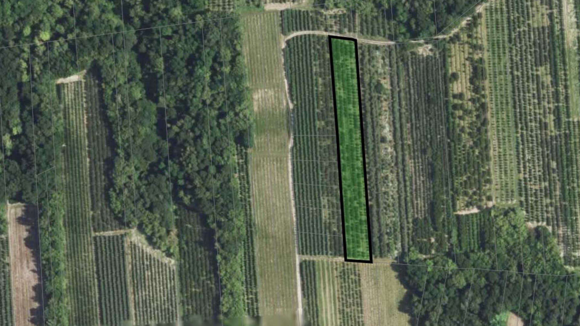 Grunt rolny- sad wiśniowy