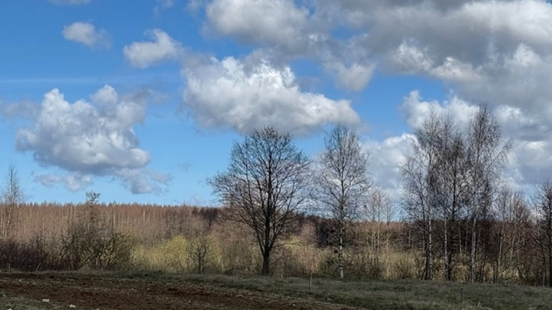 Grunt rolny w licytacji