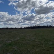 Grunt rolny w licytacji