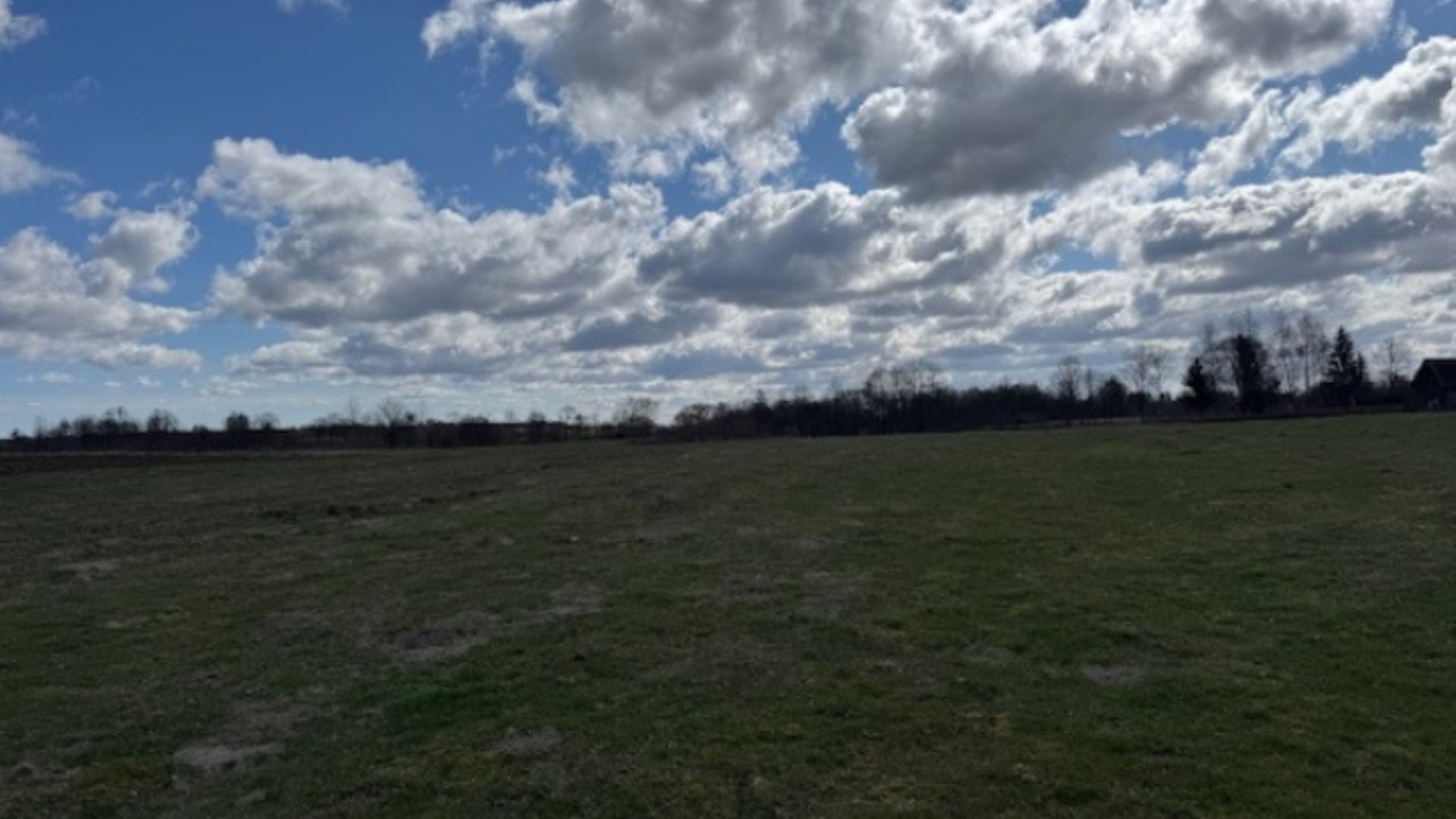 Grunt rolny w licytacji