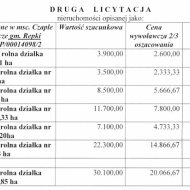Grunty na sprzedaż w licytacji
