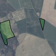 Grunty rolne i leśne