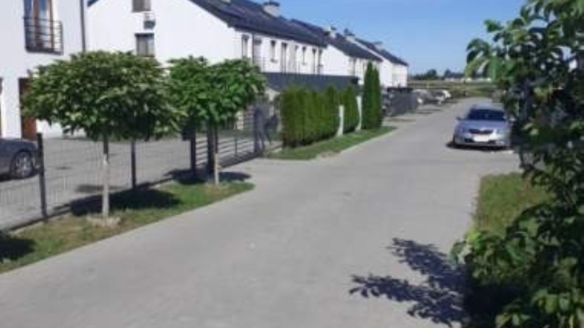 Szereg w licytacji